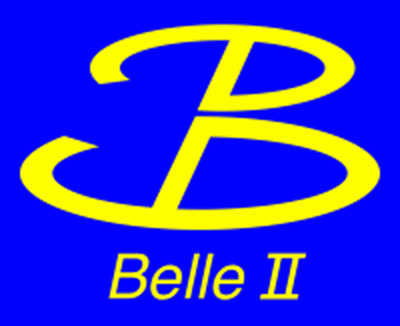 BelleII Collaboration