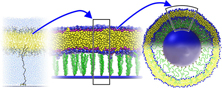 Nanoparticles