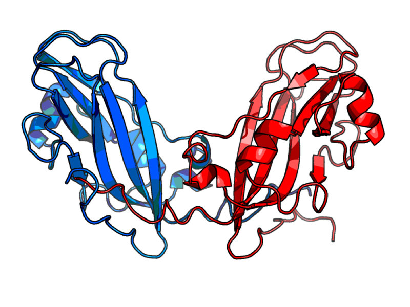 CCMV dimer