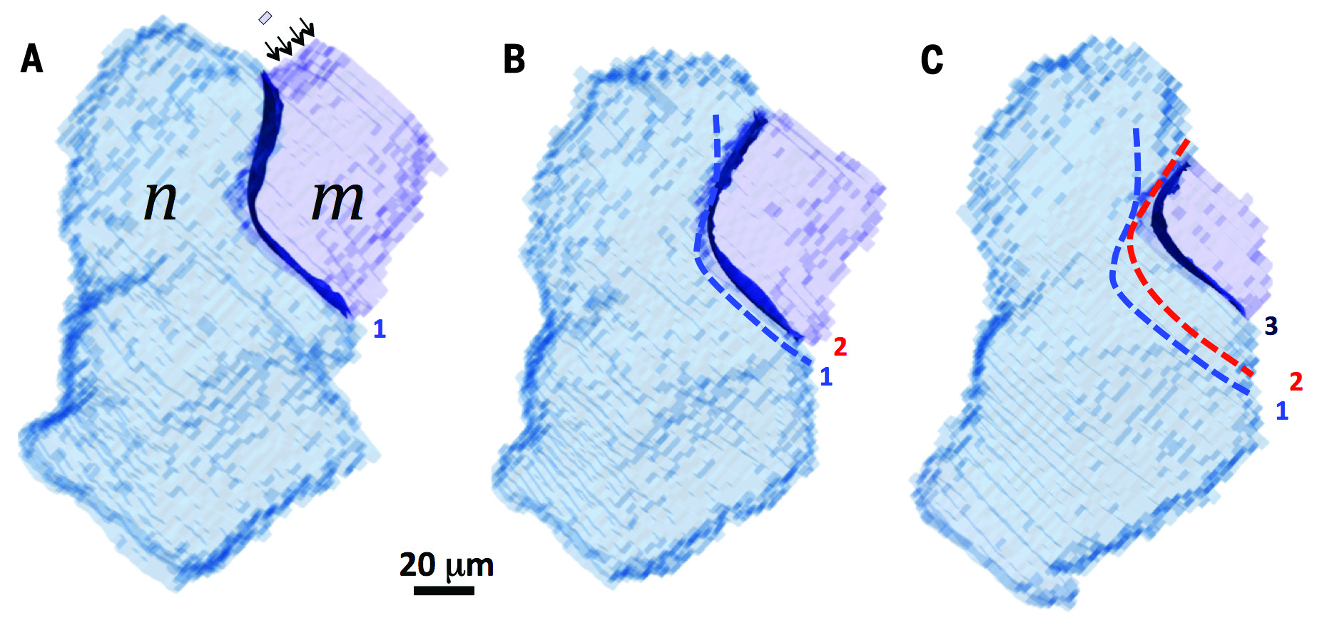 grain boundary