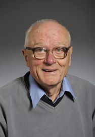 Prof. Luc Berger