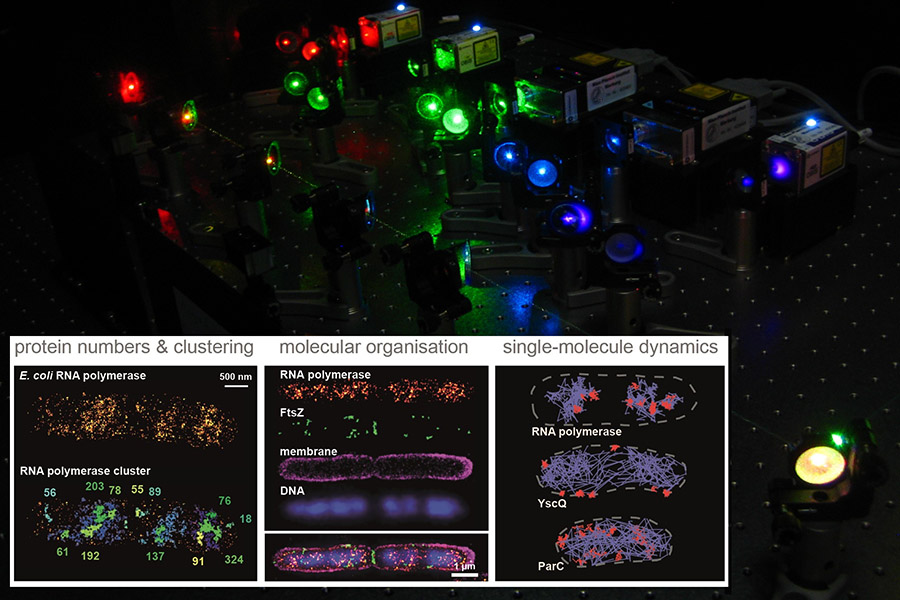 Single-molecule biophysics