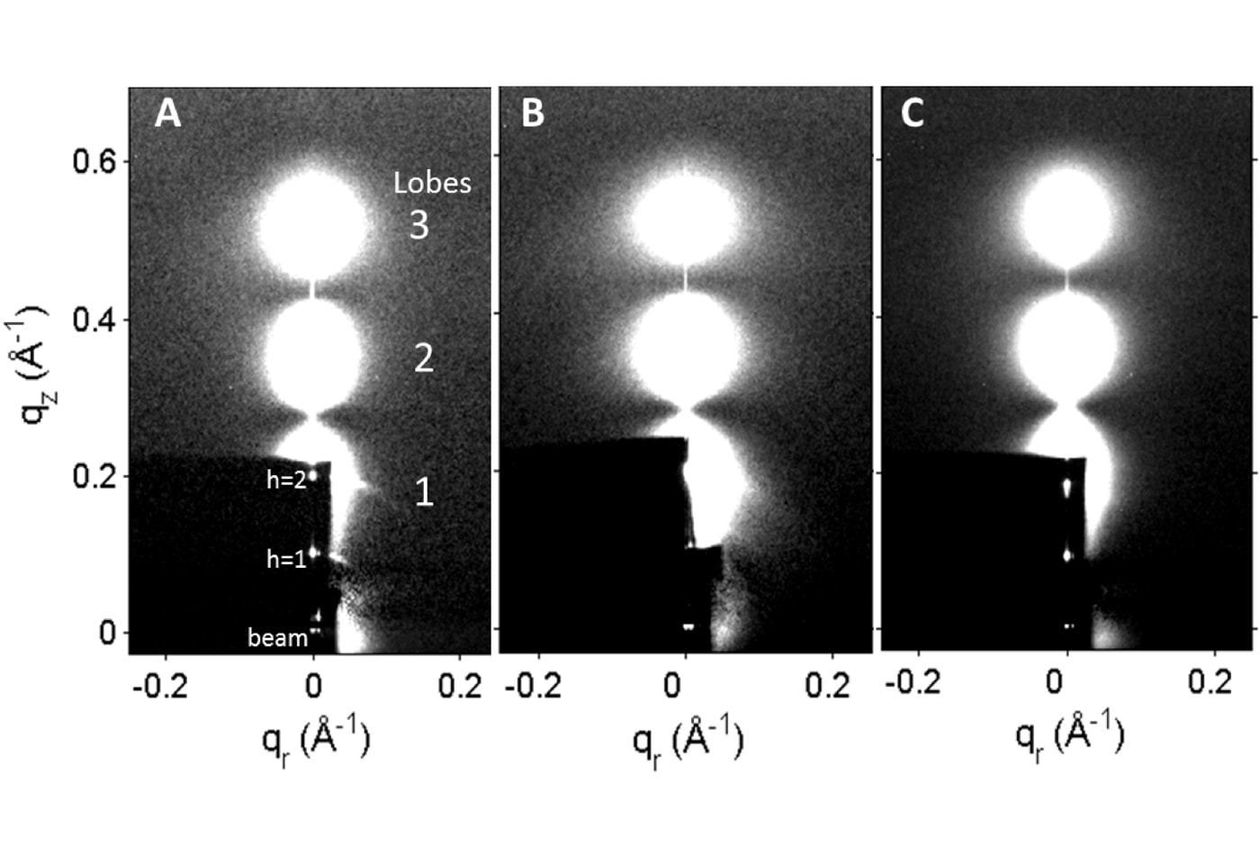 Membrane wide-angle scattering