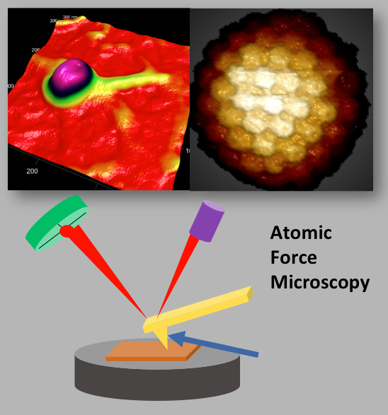 AFM