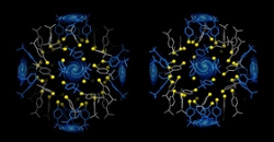 Gold Nanoparticles