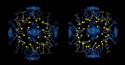 Gold Nanoparticles