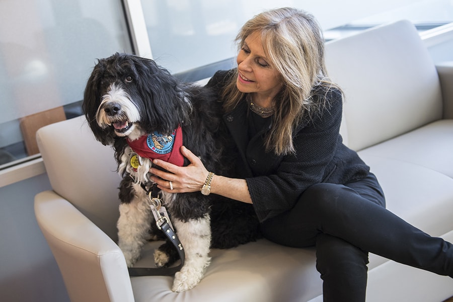 Linda Shooer and Leo, one of 55 nominees nationwide in the American Humane Hero Dog Awards' Therapy Dog category.