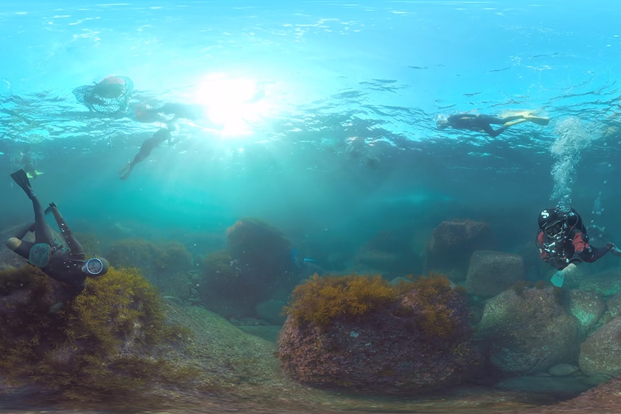 The Haenyeo VR Documentary