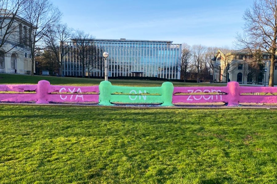 image of the Fence painted with CYA on Zoom