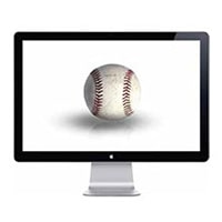 a baseball on a computer screen