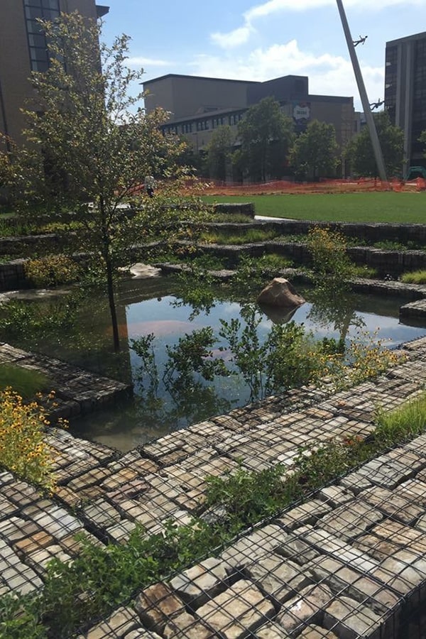 cohon university center rain gardens