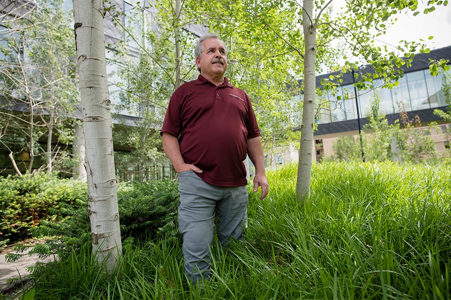 David Wessell standing among trees