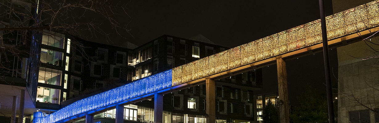 Pausch Bridge lit in blue and yellow