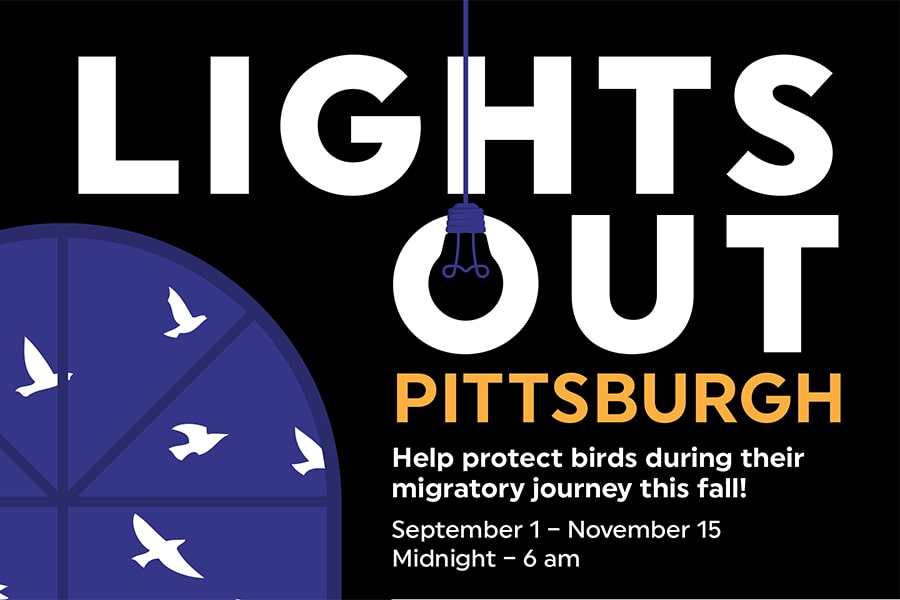 Lights Out Pittsburgh flyer