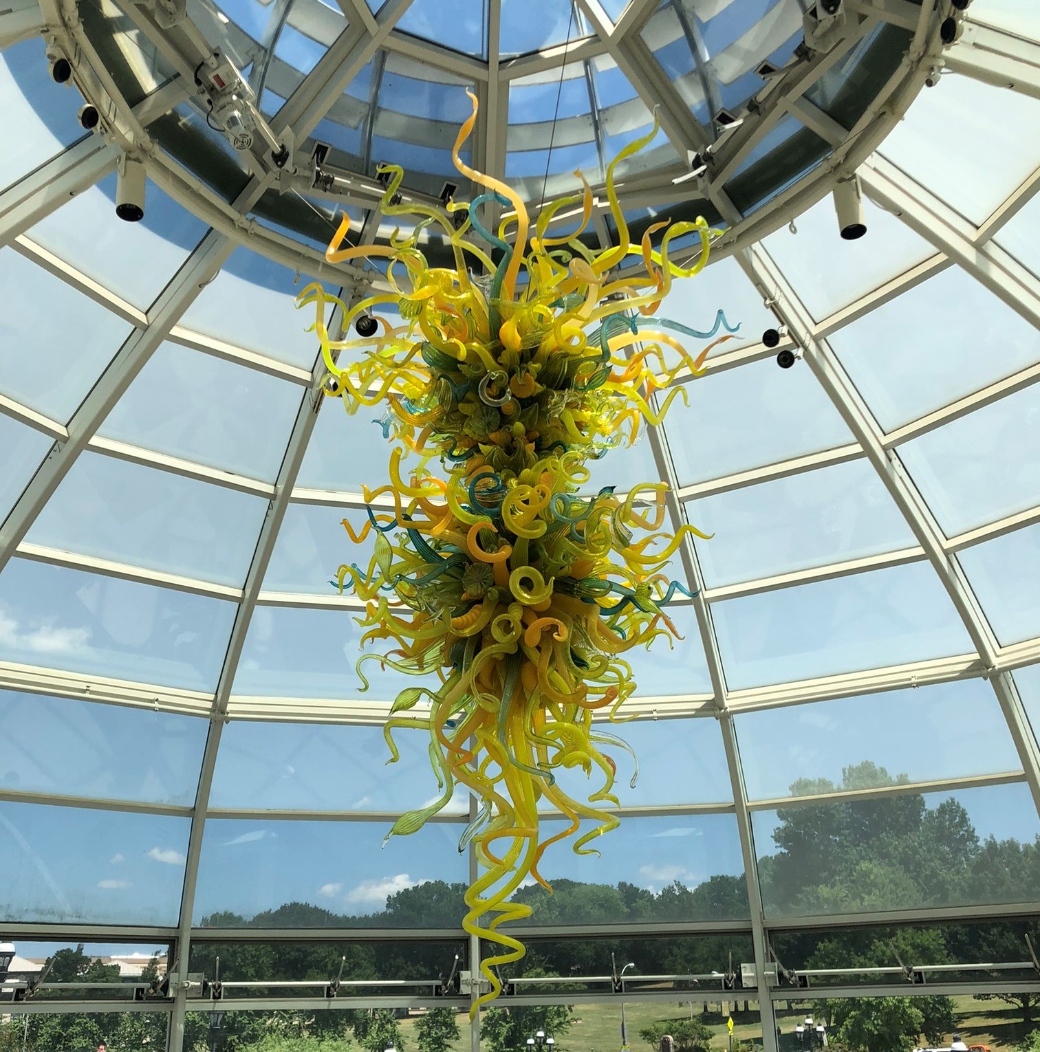 Student photo of glass lighting sculpture at Phipps Conservatory. 