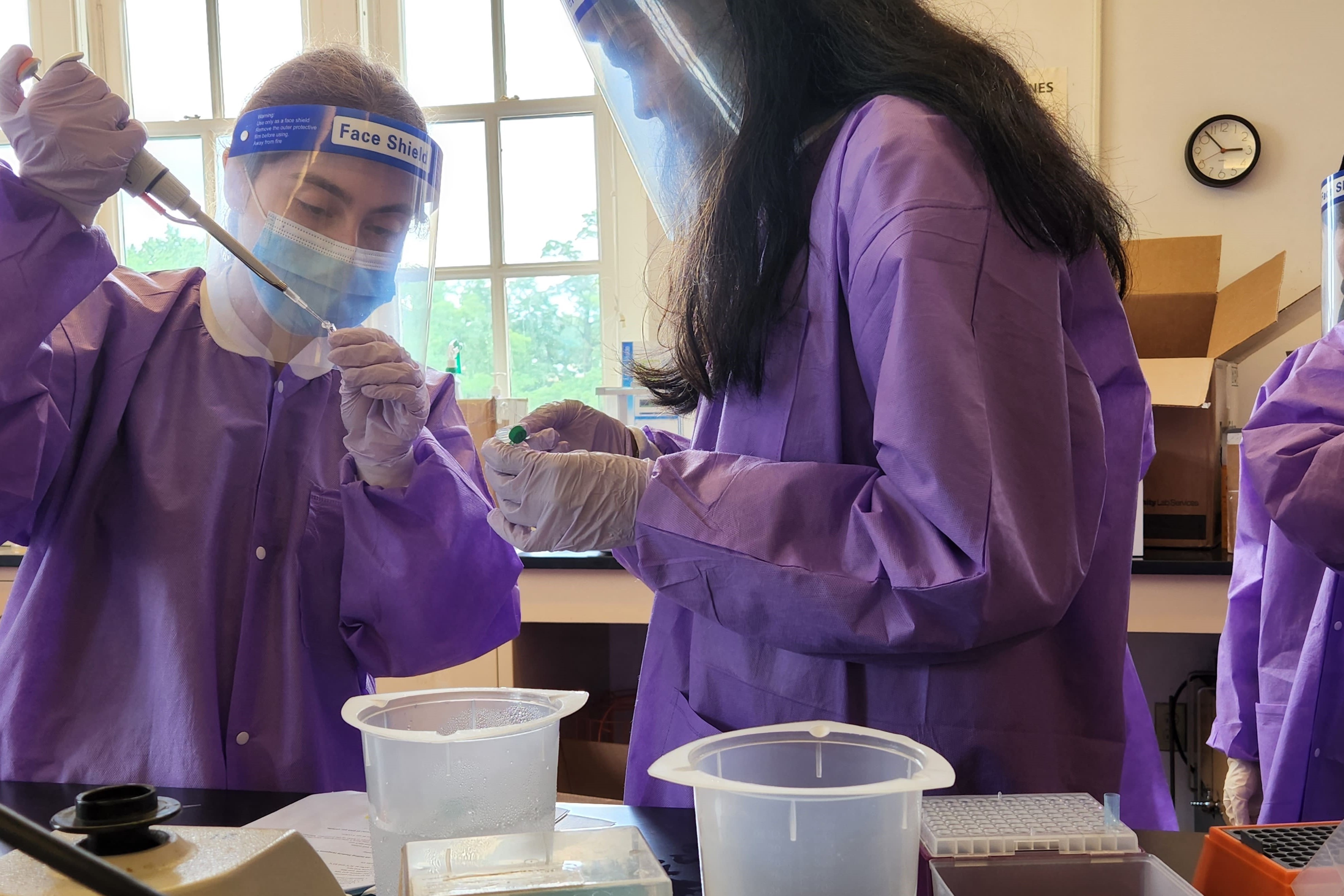 CompBio student performing experiment