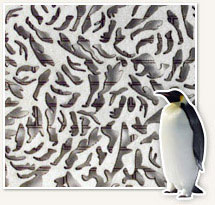 Pausch Bridge penguin pattern