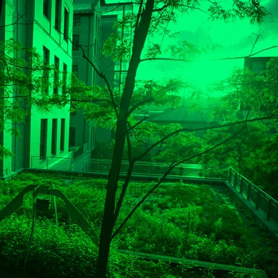 Tree in the foreground with a view of the natural green walk between Gates-Hillman Complex and Doherty Hall.