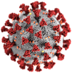picture of Sars virus