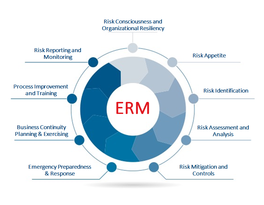 Enterprise Risk Management