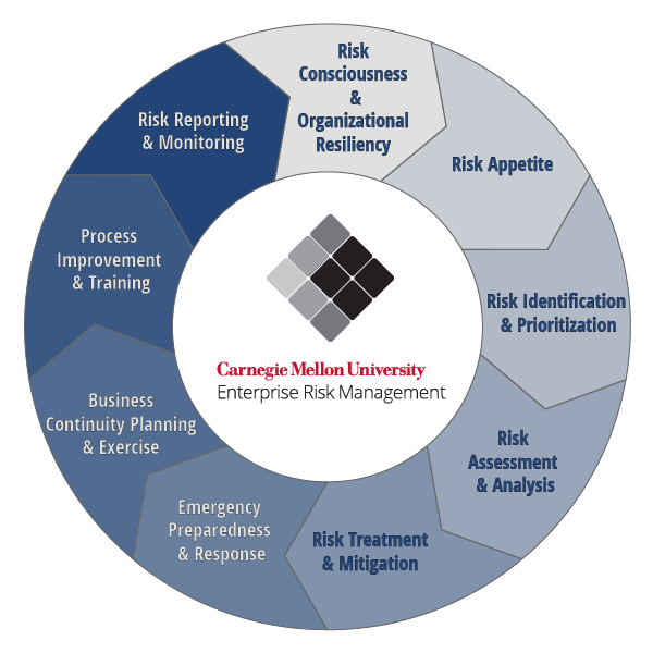 Image of the elements that comprise a Risk Framework