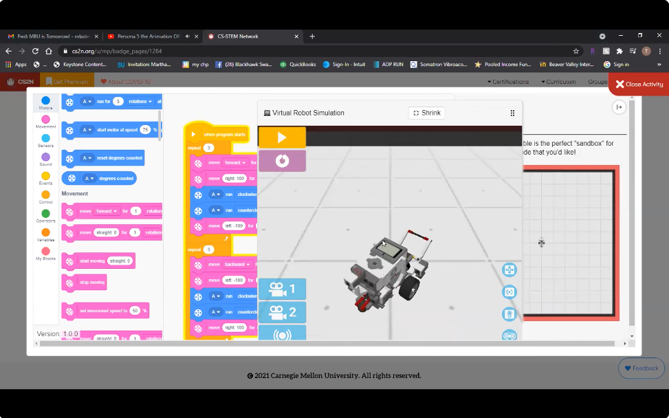 bsa-virtual-robot