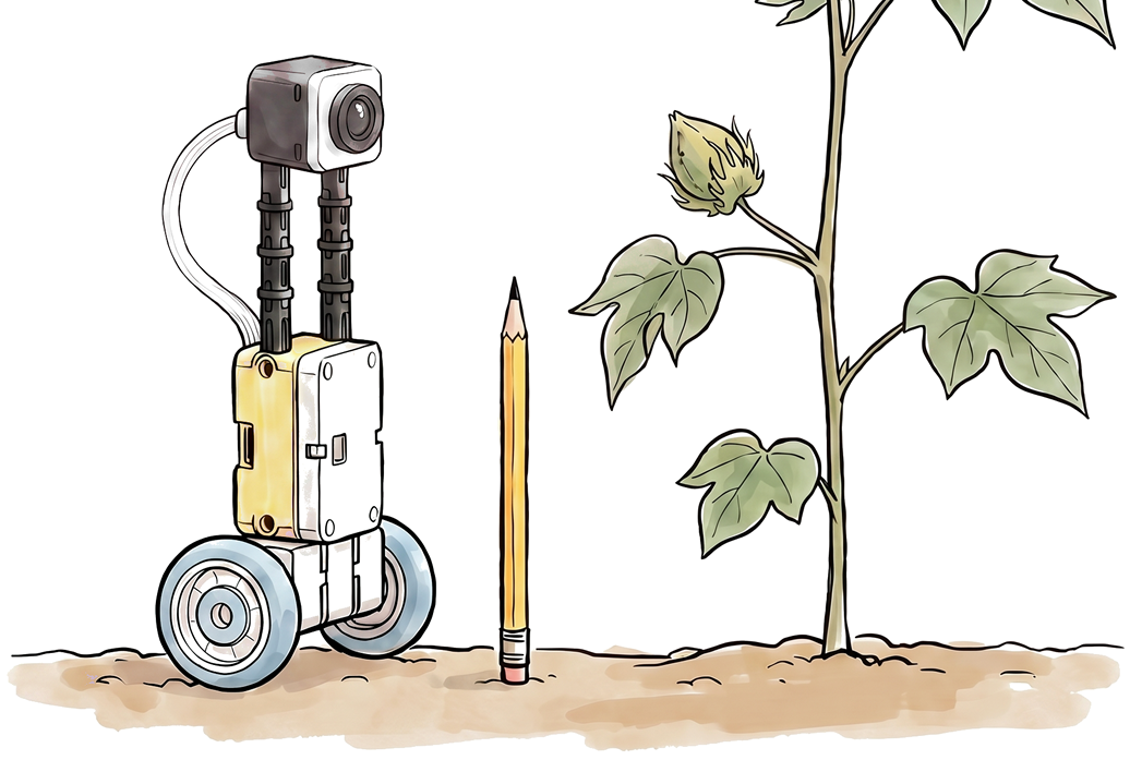 CMRA and Magnanibots