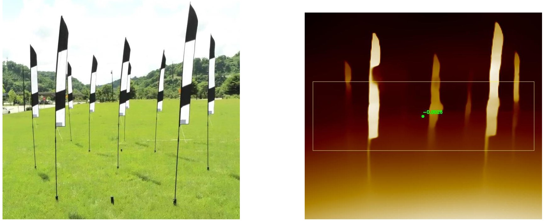 Alt Text for Image