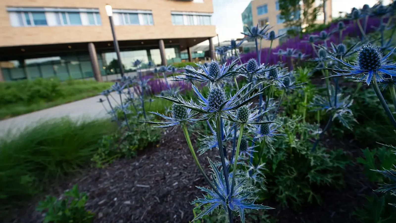 CMU campus exterior