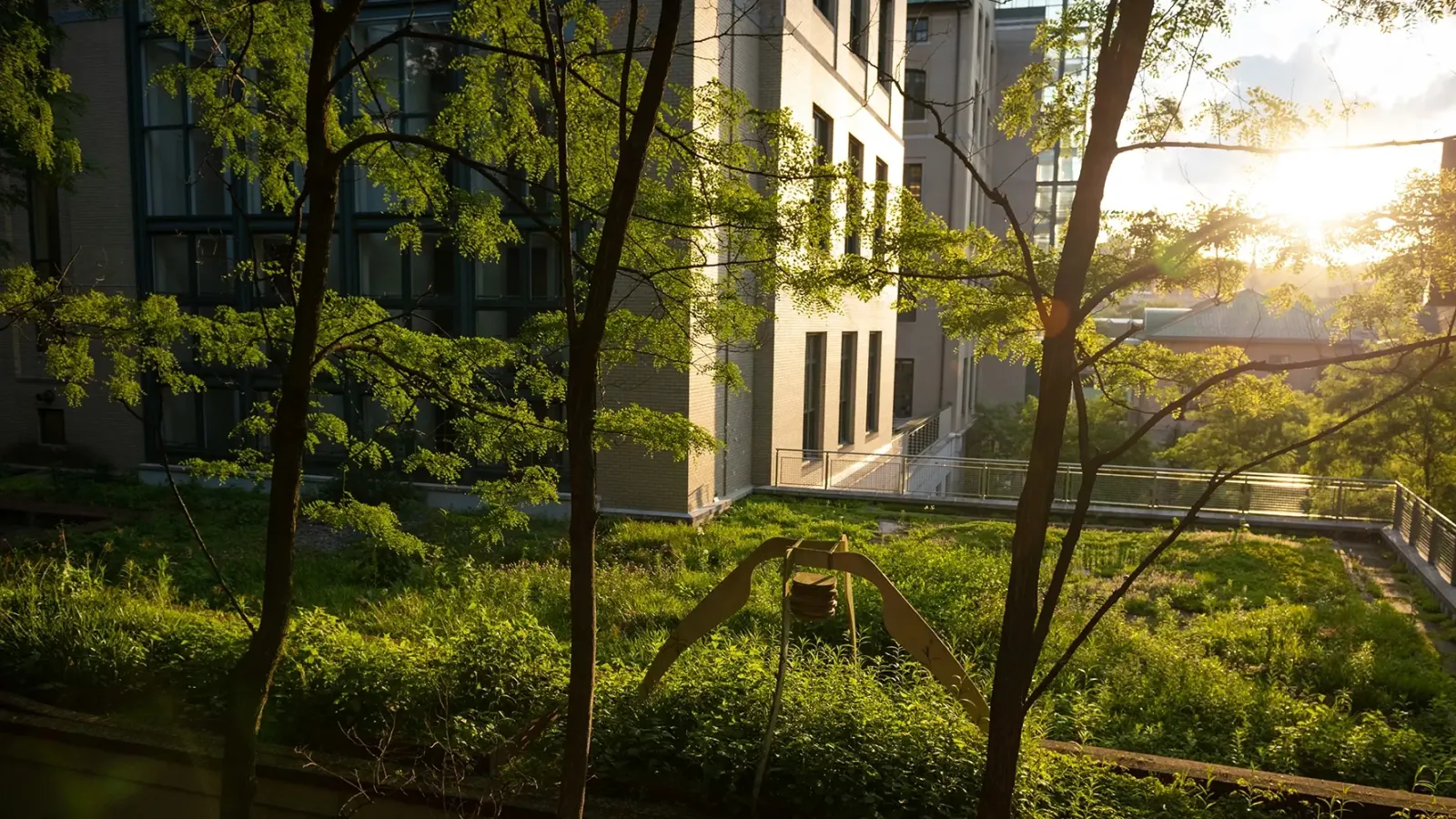 CMU campus exterior