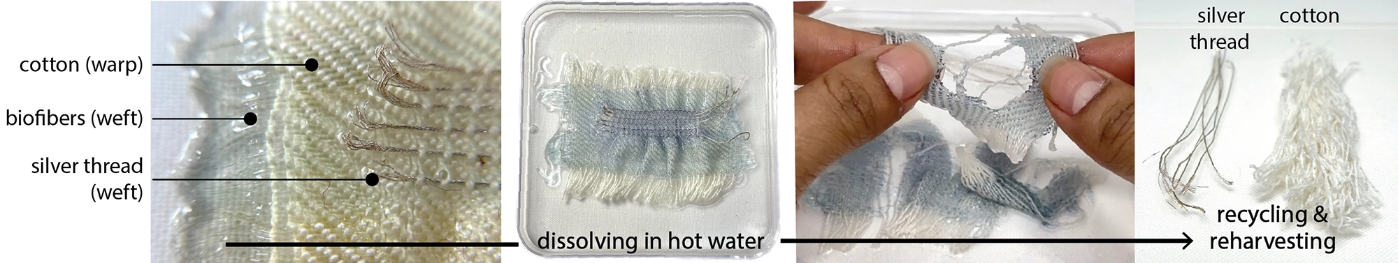 A series of images depicting the process of dissolving gelatin fibers