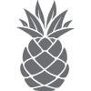 hawaii pineapple icon