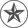 dallas lone star icon