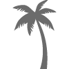 LA palm tree icon