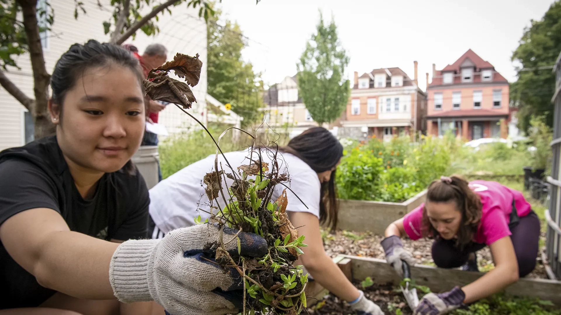A group of CMU volunteers working in a garden