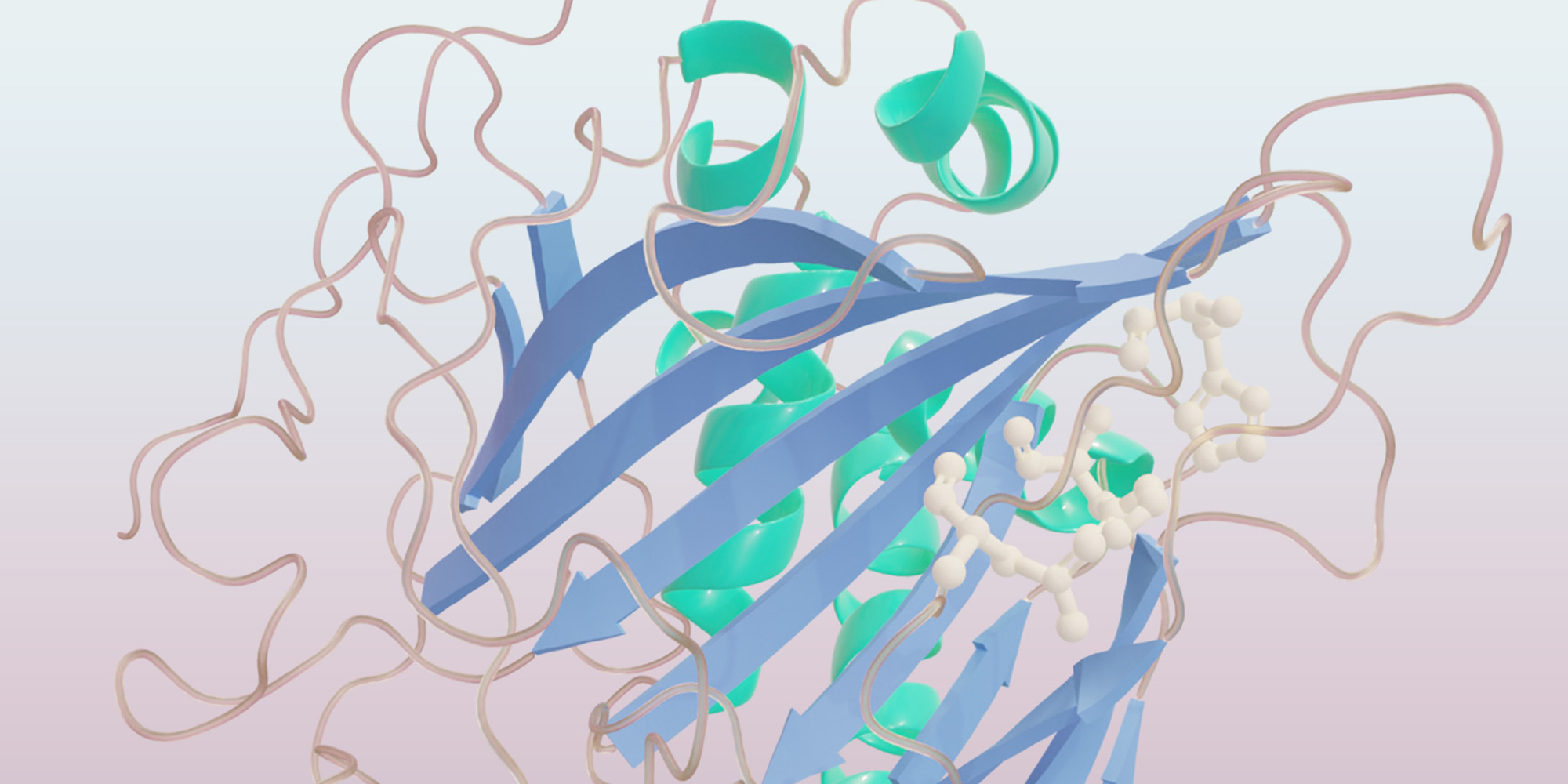Illustration of enzymes