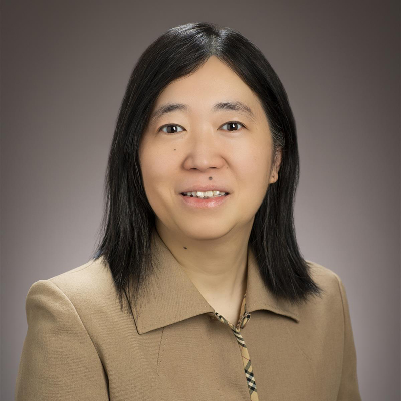 portrait of Prof. Yang Liu