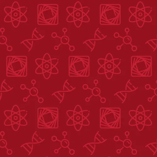 Red pattern of MCS department logos