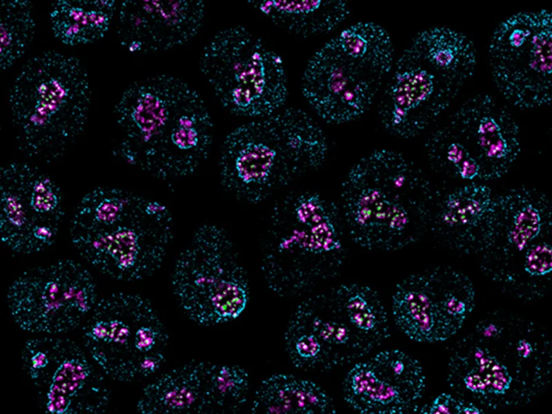 Science That Matters, Now More Than Ever