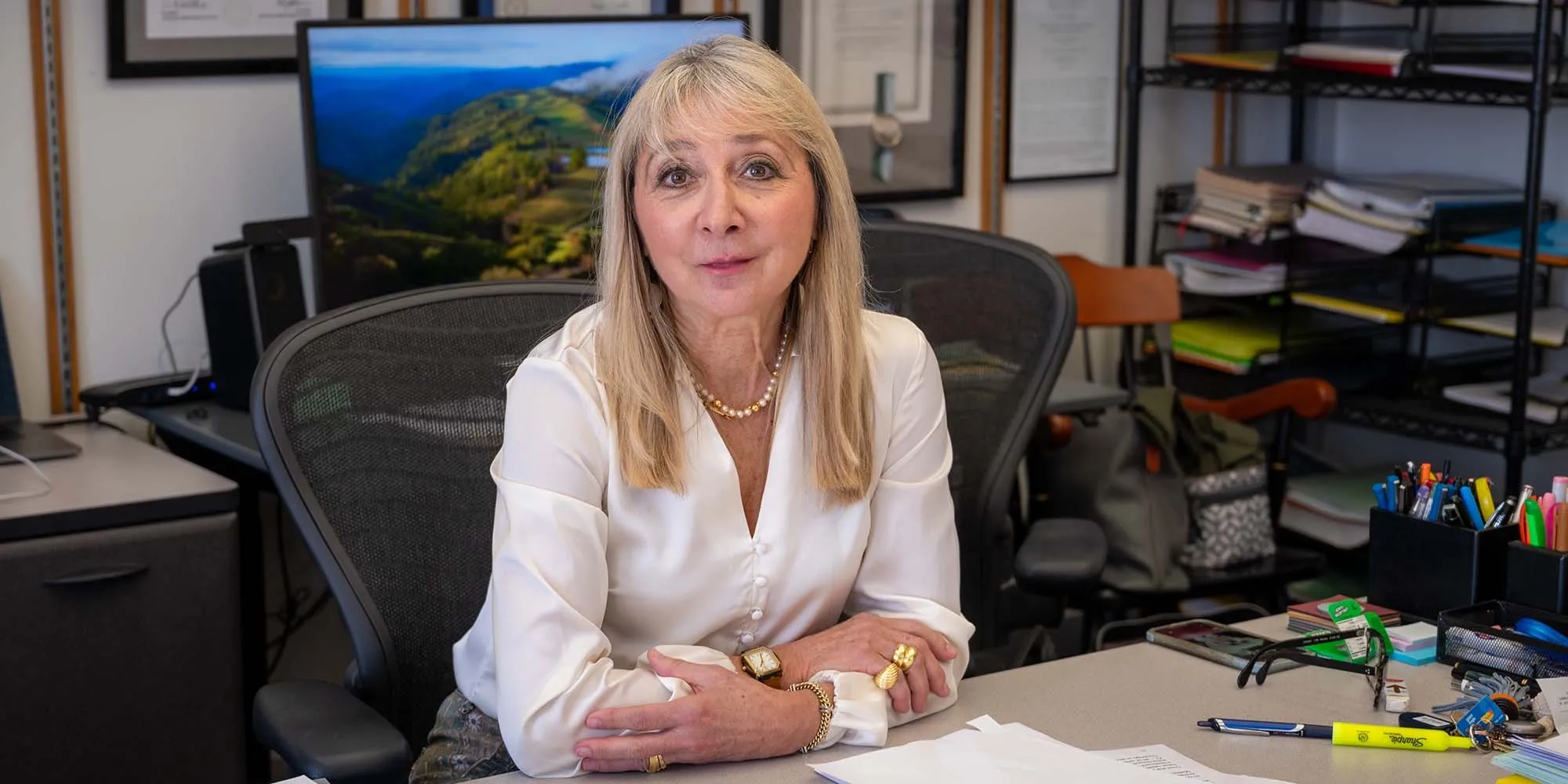 Irene Fonseca has been elected a vice president of the American Mathematical Society.