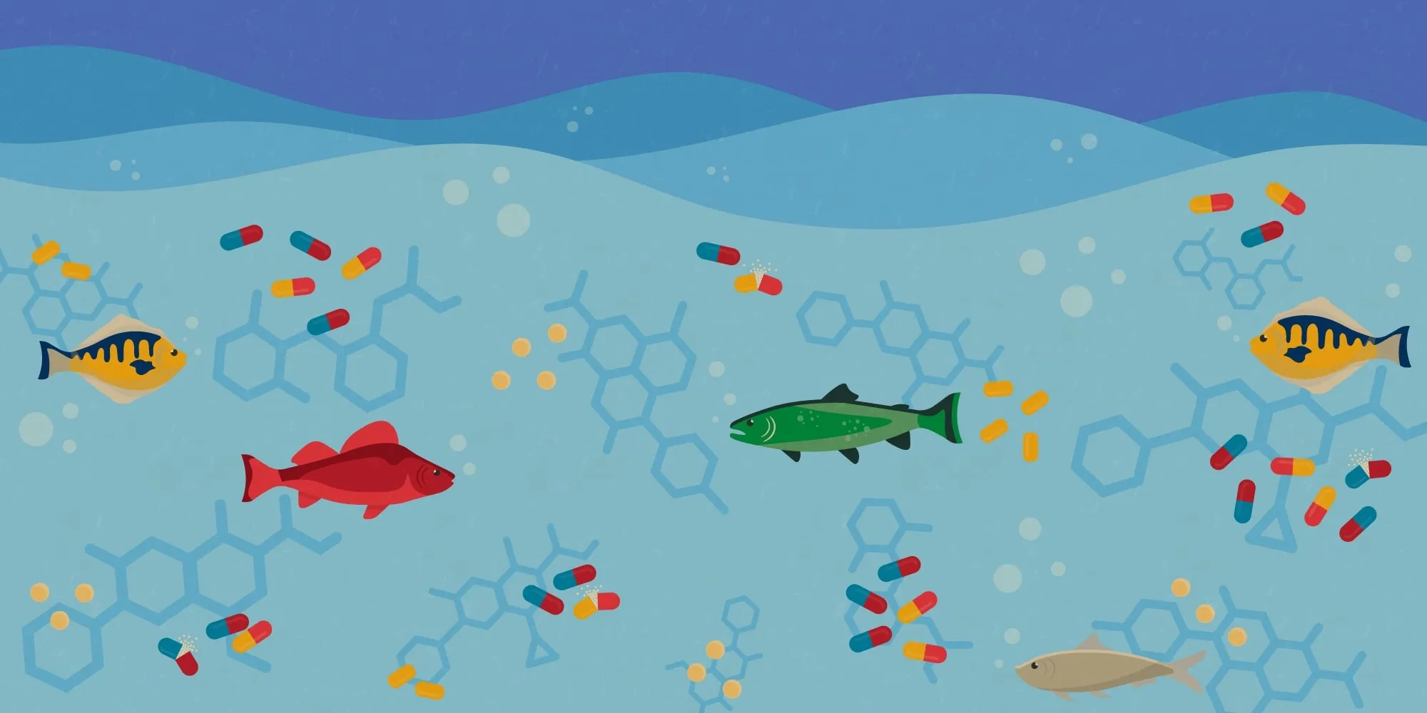 Graphic of cartoon fish and pharmaceutical pills
