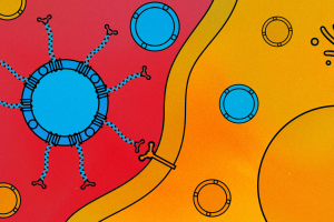 An illustration of a round, blue extracellular vesicle with tethers extending from its surface. One of the tethers is close to a receptor on a cell's surface.