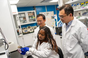 Study first authors Jianglin Zhang (left), a postdoctoral researcher, and Sarah Oladejo (center), a graduate student, with Zheng Kuang. 