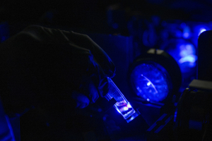 On a dark background there is a gloved hand holding a test tube that is being shined on by a blue laser.