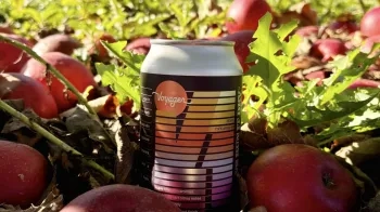 A can of hard cider sitting among a field of apples.