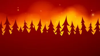 Stock image, decorative