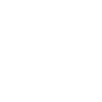 White Bluesky logo