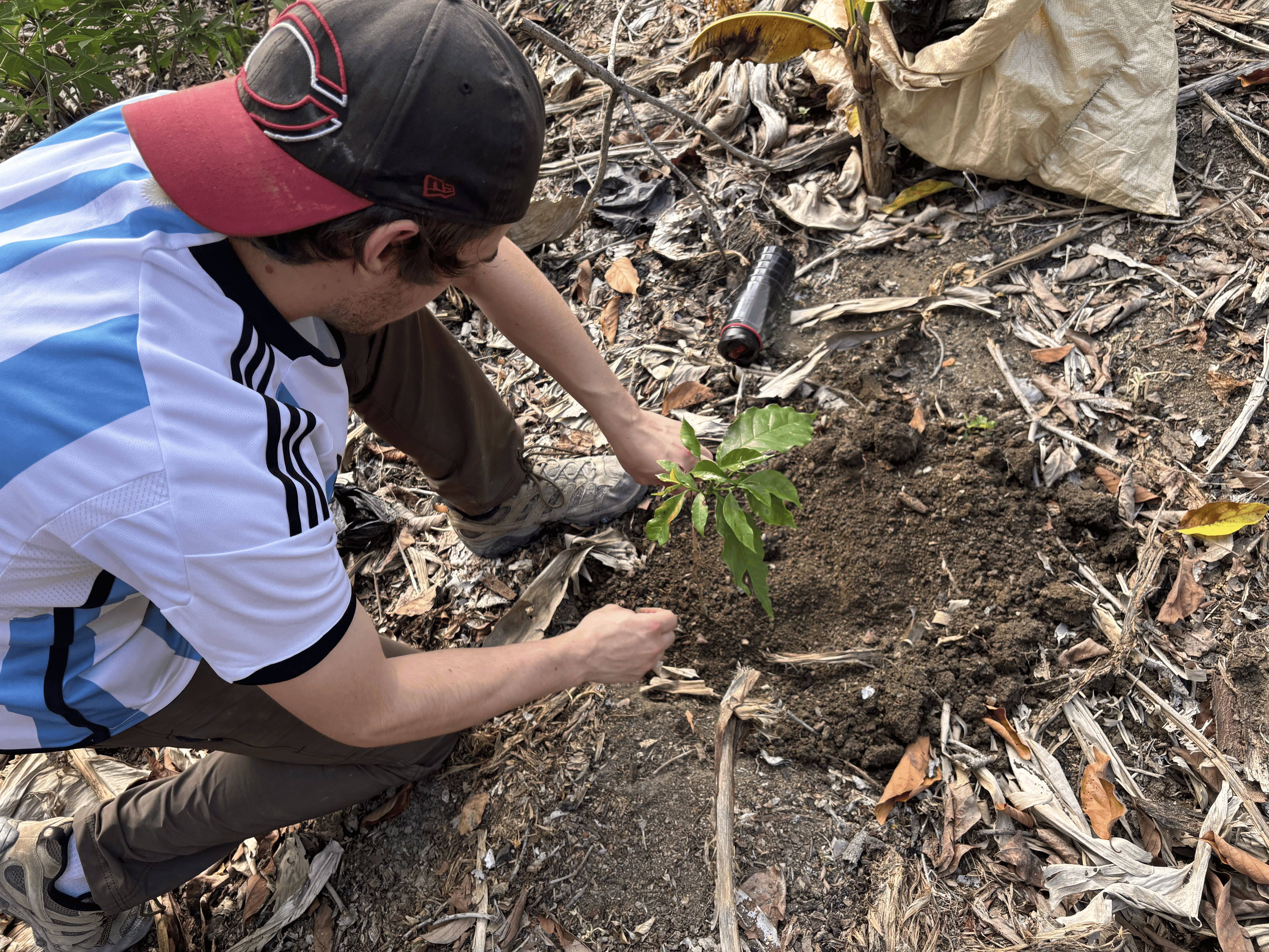 Keenan planting in soil