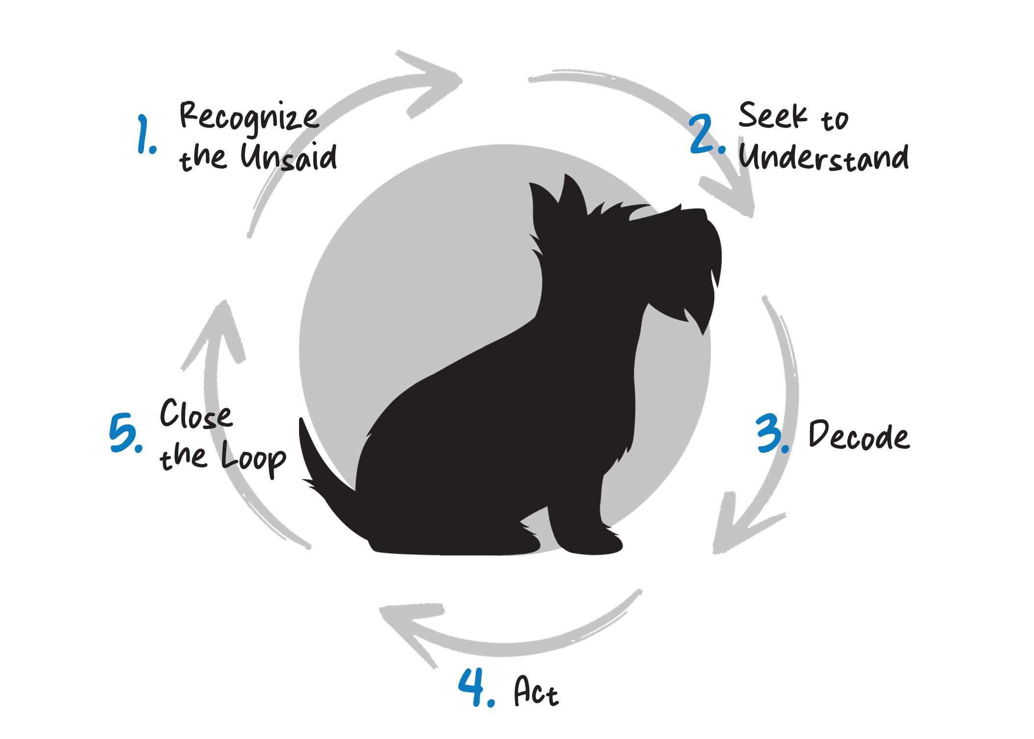 the 5 steps of the cycle of active listening going around Scotty