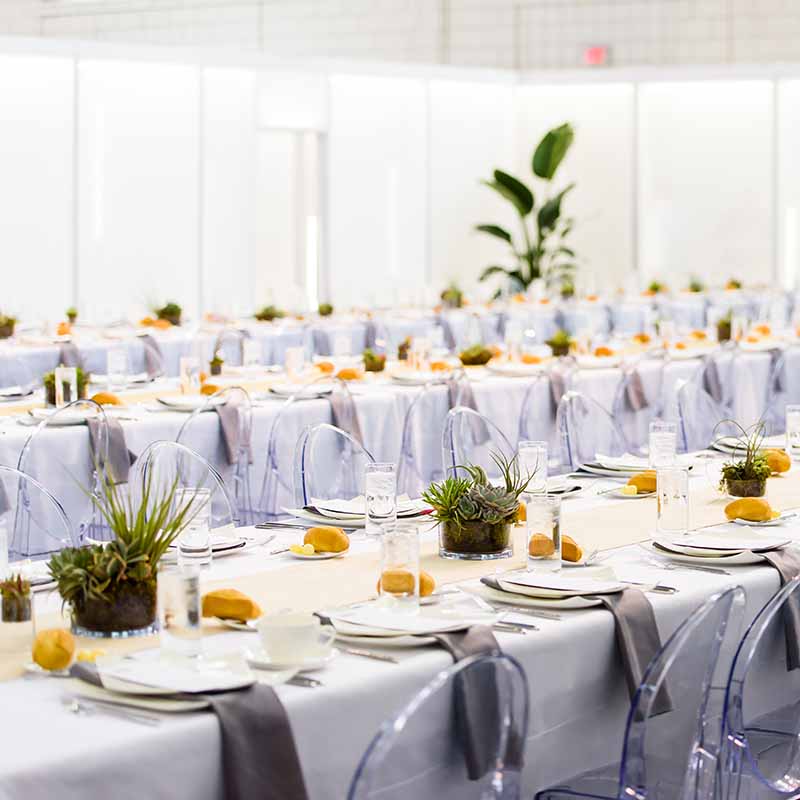 A modern table spread with crisp white linens and fresh yellow flowers